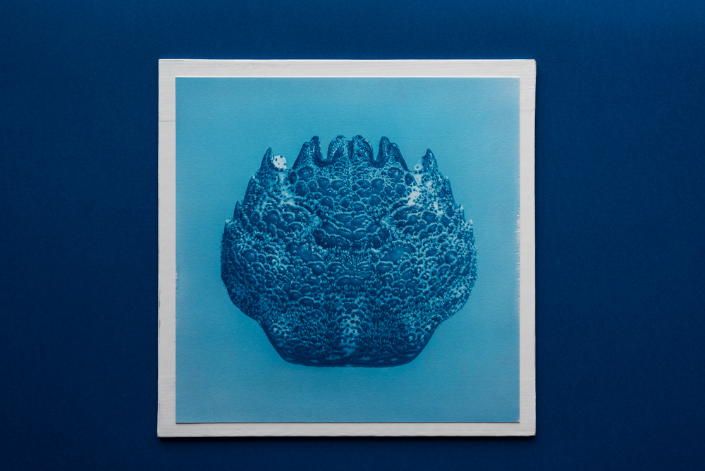 crab cyanotype print